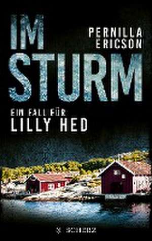 Im Sturm de Pernilla Ericson