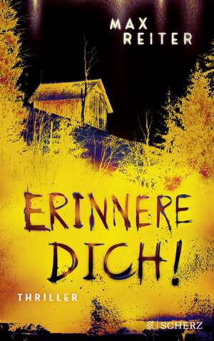 Erinnere dich! de Max Reiter