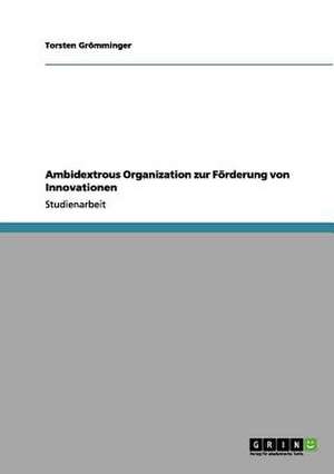 Ambidextrous Organization zur Förderung von Innovationen de Torsten Grömminger