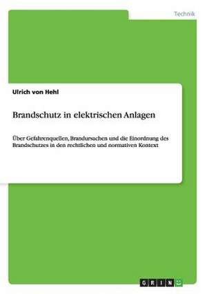 Brandschutz in elektrischen Anlagen de Ulrich von Hehl