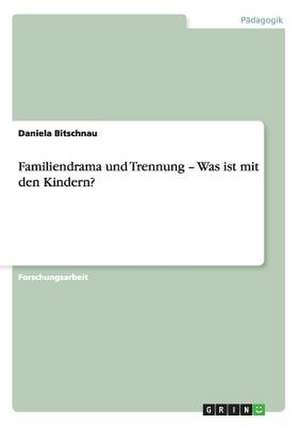 Familiendrama und Trennung ¿ Was ist mit den Kindern? de Daniela Bitschnau