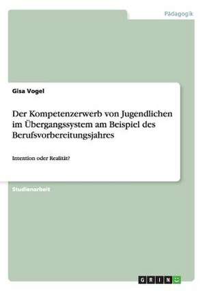 Der Kompetenzerwerb von Jugendlichen im Übergangssystem am Beispiel des Berufsvorbereitungsjahres de Gisa Vogel