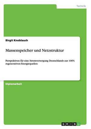 Massenspeicher und Netzstruktur de Birgit Knoblauch