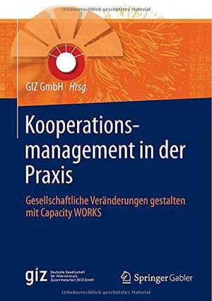 Kooperationsmanagement in der Praxis: Gesellschaftliche Veränderungen gestalten mit Capacity WORKS de GIZ GmbH