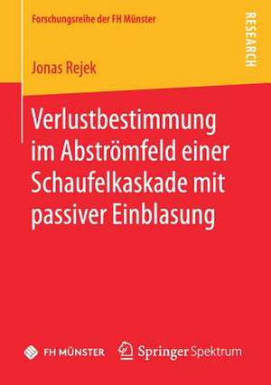 Verlustbestimmung im Abströmfeld einer Schaufelkaskade mit passiver Einblasung de Jonas Rejek