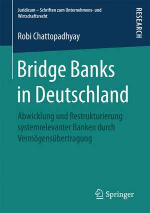 Bridge Banks in Deutschland: Abwicklung und Restrukturierung systemrelevanter Banken durch Vermögensübertragung de Robi Chattopadhyay