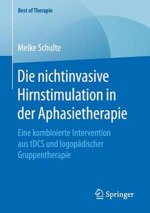 Die nichtinvasive Hirnstimulation in der Aphasietherapie: Eine kombinierte Intervention aus tDCS und logopädischer Gruppentherapie de Meike Schulte