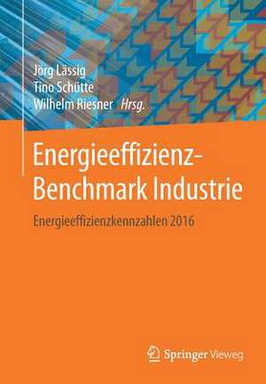 Energieeffizienz-Benchmark Industrie: Energieeffizienzkennzahlen 2016 de Jörg Lässig