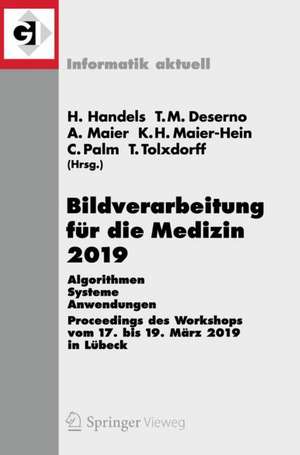 Bildverarbeitung für die Medizin 2019: Algorithmen – Systeme – Anwendungen. Proceedings des Workshops vom 17. bis 19. März 2019 in Lübeck de Heinz Handels