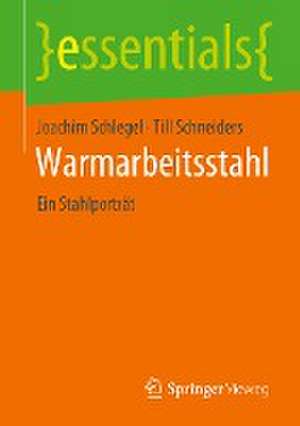 Warmarbeitsstahl: Ein Stahlporträt de Joachim Schlegel