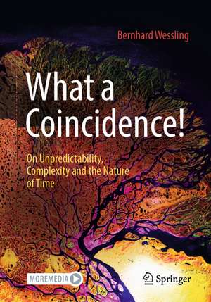 What a Coincidence!: On Unpredictability, Complexity and the Nature of Time de Bernhard Wessling