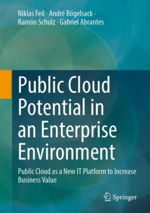 Public Cloud Potential in an Enterprise Environment: Public Cloud as a New IT Platform to Increase Business Value de Niklas Feil