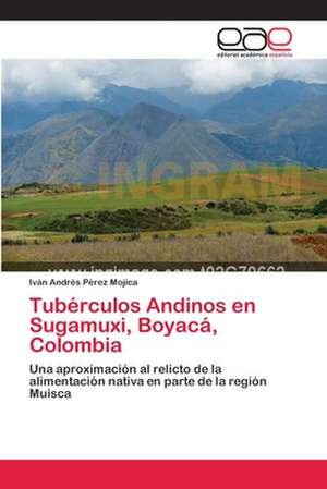 Tubérculos Andinos en Sugamuxi, Boyacá, Colombia de Iván Andrés Pérez Mojica