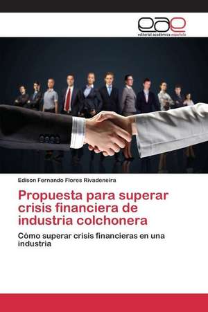 Propuesta Para Superar Crisis Financiera de Industria Colchonera