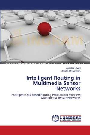 Intelligent Routing in Multimedia Sensor Networks de Ayesha Ubaid