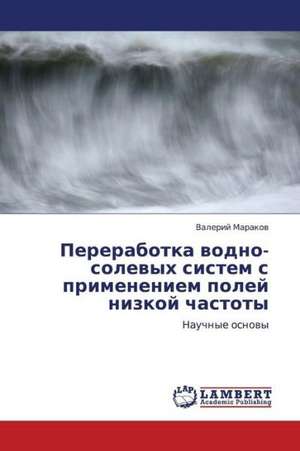 Pererabotka vodno-solevykh sistem s primeneniem poley nizkoy chastoty de Marakov Valeriy