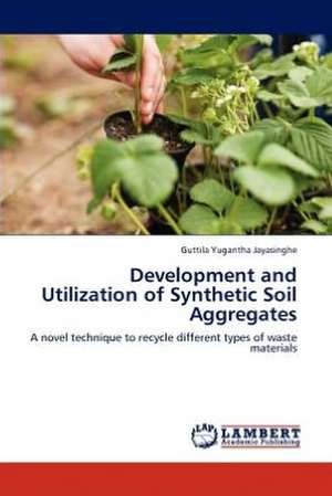 Development and Utilization of Synthetic Soil Aggregates de Guttila Yugantha Jayasinghe