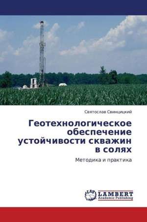 Geotekhnologicheskoe obespechenie ustoychivosti skvazhin v solyakh de Svintsitskiy Svyatoslav