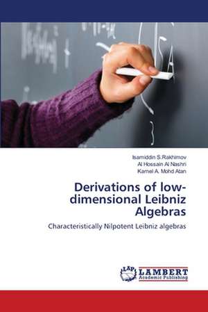 Derivations of low-dimensional Leibniz Algebras de Isamiddin S.Rakhimov