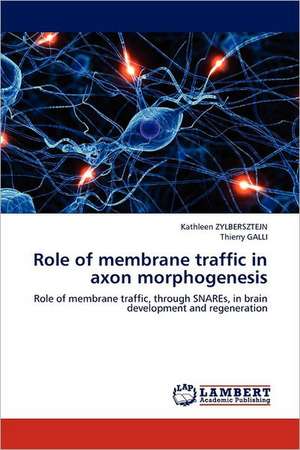 Role of membrane traffic in axon morphogenesis de Kathleen ZYLBERSZTEJN