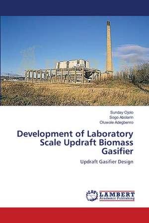 Development of Laboratory Scale Updraft Biomass Gasifier de Sunday Ojolo