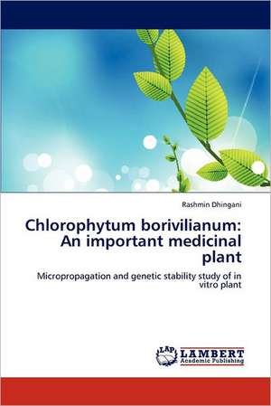 Chlorophytum borivilianum: An important medicinal plant de Rashmin Dhingani