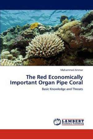 The Red Economically Important Organ Pipe Coral de Mohammed Ammar