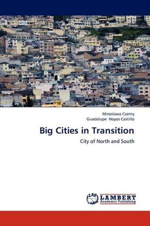 Big Cities in Transition de Czerny Miroslawa