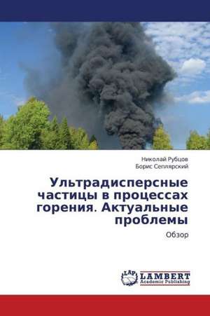 Ul'tradispersnye chastitsy v protsessakh goreniya. Aktual'nye problemy de Rubtsov Nikolay