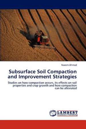 Subsurface Soil Compaction and Improvement Strategies de Ahmad Naeem