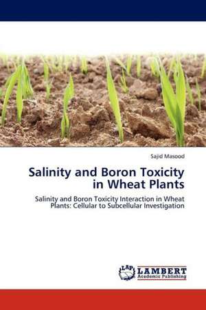 Salinity and Boron Toxicity in Wheat Plants de Masood Sajid