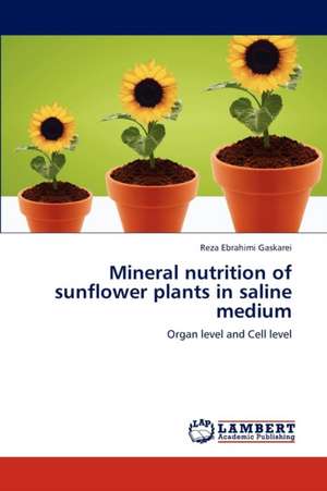 Mineral nutrition of sunflower plants in saline medium de Ebrahimi Gaskarei Reza