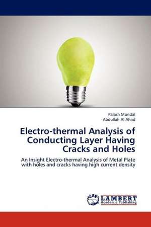 Electro-thermal Analysis of Conducting Layer Having Cracks and Holes de Mondal Palash