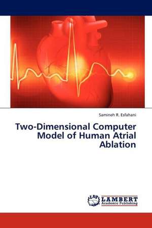 Two-Dimensional Computer Model of Human Atrial Ablation de Esfahani Samineh R.