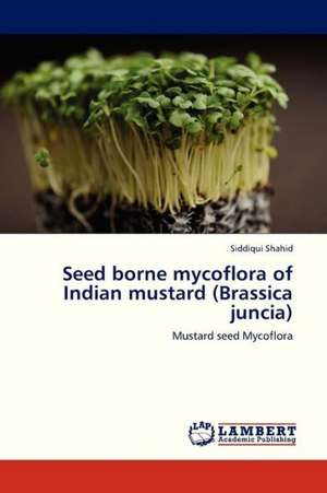 Seed borne mycoflora of Indian mustard (Brassica juncia) de Shahid Siddiqui