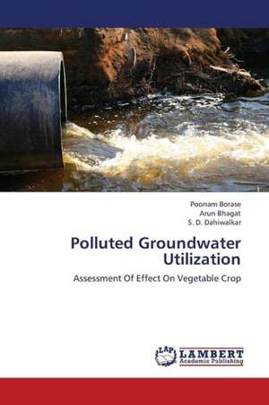 Polluted Groundwater Utilization de Borase Poonam