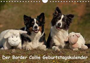 Der Border Collie Geburtstagskalender (Wandkalender immerwährend DIN A4 quer) de Tina Mauersberger