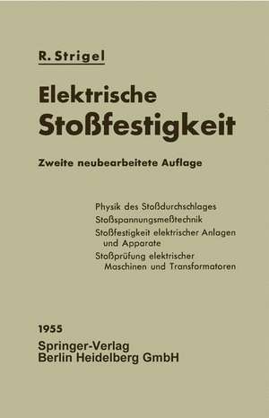 Elektrische Stoßfestigkeit de Robert Strigel