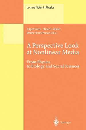 A Perspective Look at Nonlinear Media: From Physics to Biology and Social Sciences de Jürgen Parisi