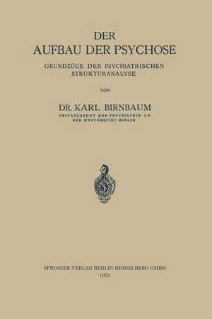 Der Aufbau der Psychose: Grundzüge der Psychiatrischen Strukturanalyse de Karl Birnbaum