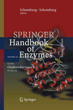 Class 1 Oxidoreductases X: EC 1.9 - 1.13 de Antje Chang