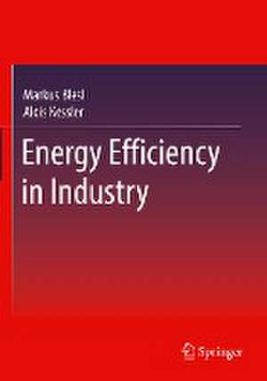 Energy Efficiency in Industry de Markus Blesl