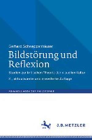 Bildstörung und Reflexion: Studien zur kritischen Theorie der visuellen Kultur de Gerhard Schweppenhäuser