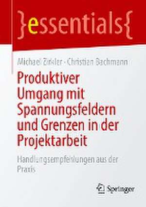 Produktiver Umgang mit Spannungsfeldern und Grenzen in der Projektarbeit: Handlungsempfehlungen aus der Praxis de Michael Zirkler