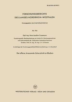 Der offene, kreuzende Scherschnitt an Blechen de Hans-Joachim Crasemann