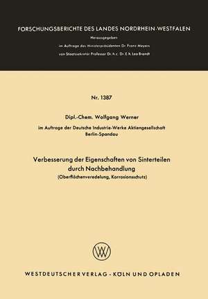 Verbesserung der Eigenschaften von Sinterteilen durch Nachbehandlung: Oberflächenveredelung, Korrosionsschutz de Wolfgang Werner