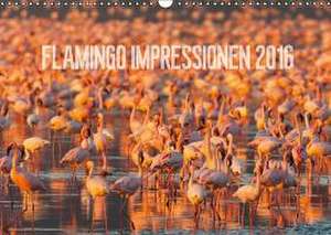 Flamingo Impressionen 2016 (Wandkalender 2016 DIN A3 quer) de Ingo Gerlach