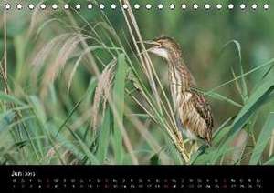 Vienna Wildlife 2016 (Tischkalender 2016 DIN A5 quer) de Vienna Wildlife/Karl Leitner Photography