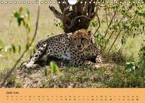 Wildnis Kenia 2016 (Wandkalender 2016 DIN A4 quer) de Rainer Schwarz