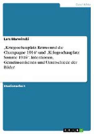 "Kriegsschauplatz Reims und die Champagne 1914" und "Kriegsschauplatz Somme 1916". Intentionen, Gemeinsamkeiten und Unterschiede der Bilder de Lars Marwinski